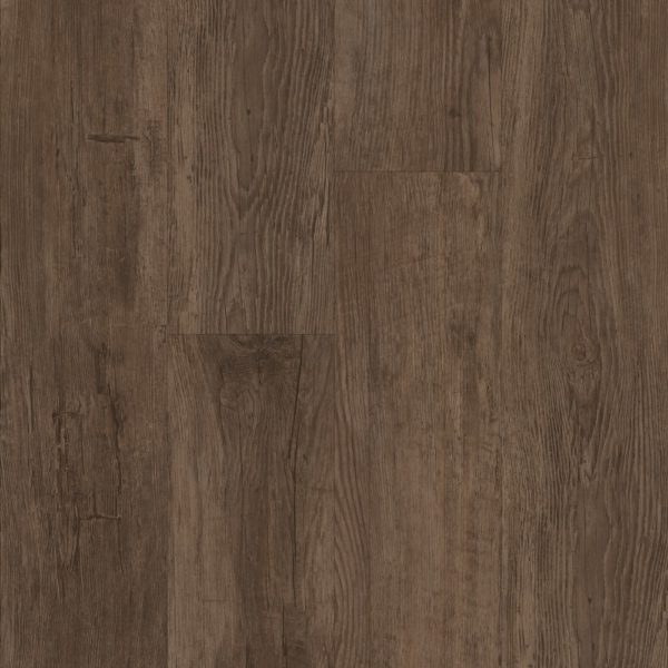 Sequoia
